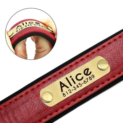 Personalised Dog Collar UK - Customised Dog Collar With Name & Phone Number
