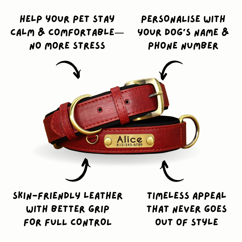 Official Calming Doggo Collar (Classic Edition 2025)