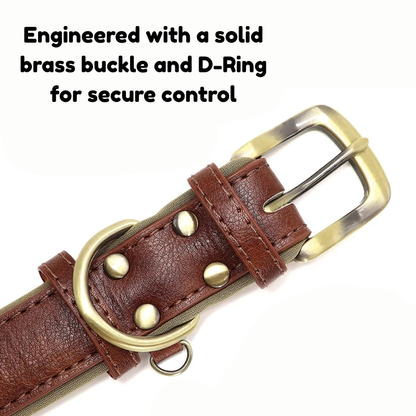 Official Calming Doggo Collar (Classic Edition 2025)