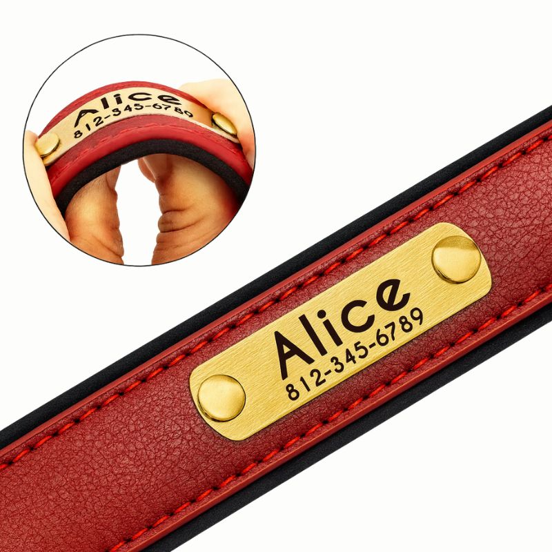 Official Calming Doggo Collar (Classic Edition 2025)