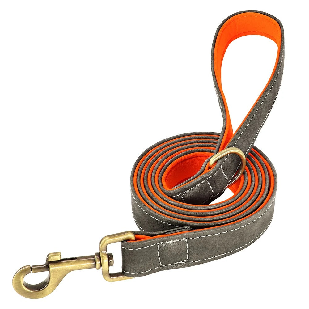 Matching Leather Lead